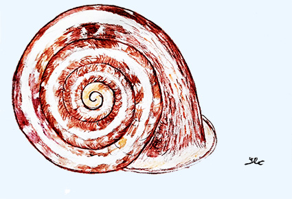 Snail! Snail! Come Out'n o' Yō' Shell - Chansons enfantines afro-américaines historiques - Culture afro-américaine historique - Mama Lisa's World en français: Comptines et chansons pour les enfants du monde entier  - Intro Image