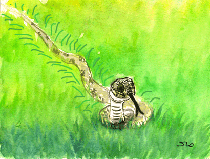 The Snake - (A narrow Fellow in the Grass ) - American Children's Songs - The USA - Mama Lisa's World: Children's Songs and Rhymes from Around the World - Intro Image The Snake - (A narrow Fellow in the Grass ) - American Children's Songs - The USA - Mama Lisa's World: Children's Songs and Rhymes from Around the World - Intro Image