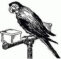 Little Poll Parrot - English Children's Songs - England - Mama Lisa's World: Children's Songs and Rhymes from Around the World  - Intro Image