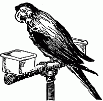 Little Poll Parrot - Canciones infantiles inglesas - Inglaterra - Mamá Lisa's World en español: Canciones infantiles del mundo entero - Intro Image Little Poll Parrot - Canciones infantiles inglesas - Inglaterra - Mamá Lisa's World en español: Canciones infantiles del mundo entero - Intro Image