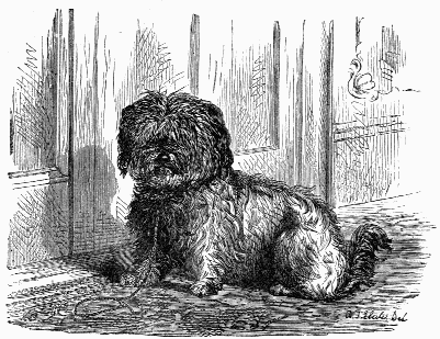 Poor Dog Bright - Canciones infantiles estadounidenses - Estados Unidos - Mamá Lisa's World en español: Canciones infantiles del mundo entero - Intro Image Poor Dog Bright - Canciones infantiles estadounidenses - Estados Unidos - Mamá Lisa's World en español: Canciones infantiles del mundo entero - Intro Image