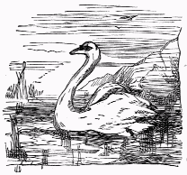 Swan, Swan, Over the Sea - Chansons enfantines anglaises - Angleterre - Mama Lisa's World en français: Comptines et chansons pour les enfants du monde entier  - Comment After Song Image