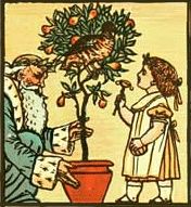 Illustration of Twelve Days of Christmas
