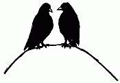 Two Little Blackbirds Sitting on a Wall