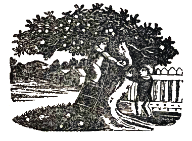 Up in the Green Orchard - Chansons enfantines anglaises - Angleterre - Mama Lisa's World en français: Comptines et chansons pour les enfants du monde entier  - Intro Image