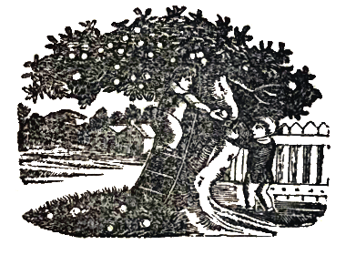 Up in the Green Orchard - Canciones infantiles inglesas - Inglaterra - Mamá Lisa's World en español: Canciones infantiles del mundo entero - Intro Image Up in the Green Orchard - Canciones infantiles inglesas - Inglaterra - Mamá Lisa's World en español: Canciones infantiles del mundo entero - Intro Image