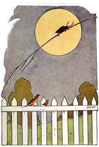A Beetle on a Broomstraw - American Children's Songs - The USA - Mama Lisa's World: Children's Songs and Rhymes from Around the World  - Intro Image