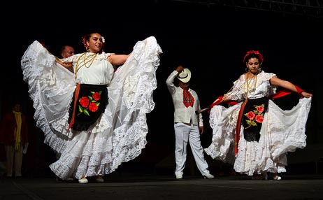 Morsa bailando La Bamba 