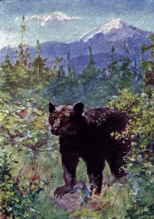 The Bear Went Over the Mountain - American Children's Songs - The USA - Mama Lisa's World: Children's Songs and Rhymes from Around the World  - Intro Image