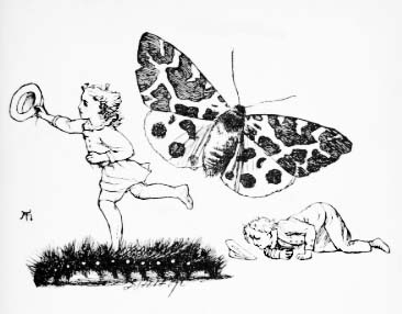 The Caterpillar - English Children's Songs - England - Mama Lisa's World: Children's Songs and Rhymes from Around the World - Comment After Song Image The Caterpillar - English Children's Songs - England - Mama Lisa's World: Children's Songs and Rhymes from Around the World - Comment After Song Image