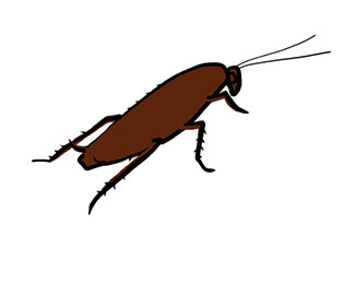 La Cucaracha <br />(Le cafard)