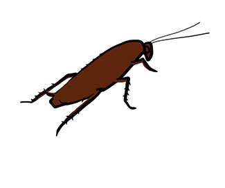 La Cucaracha