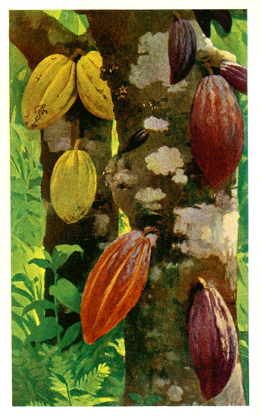 Chocolate, molinillo - Mexican Children's Songs - Mexico - Mama Lisa's World: Children's Songs and Rhymes from Around the World 1 Chocolate, molinillo - Mexican Children's Songs - Mexico - Mama Lisa's World: Children's Songs and Rhymes from Around the World 1