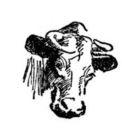 E-yo cow! - Chansons enfantines camerounaises - Cameroun - Mama Lisa's World en français: Comptines et chansons pour les enfants du monde entier - Intro Image E-yo cow! - Chansons enfantines camerounaises - Cameroun - Mama Lisa's World en français: Comptines et chansons pour les enfants du monde entier - Intro Image