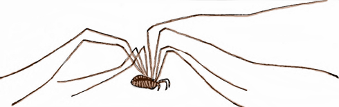 Daddy Longlegs - American Children's Songs - The USA - Mama Lisa's World: Children's Songs and Rhymes from Around the World - Intro Image Daddy Longlegs - American Children's Songs - The USA - Mama Lisa's World: Children's Songs and Rhymes from Around the World - Intro Image