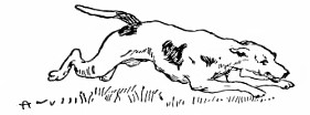 I Had a Little Dog and His Name Was Blue Bell - Canciones infantiles inglesas - Inglaterra - Mamá Lisa's World en español: Canciones infantiles del mundo entero - Intro Image I Had a Little Dog and His Name Was Blue Bell - Canciones infantiles inglesas - Inglaterra - Mamá Lisa's World en español: Canciones infantiles del mundo entero - Intro Image