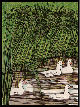 Four Ducks on a Pond - Chansons enfantines irlandaises - Irlande - Mama Lisa's World en français: Comptines et chansons pour les enfants du monde entier  - Intro Image