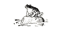 The Frog in the Bog - American Children's Songs - The USA - Mama Lisa's World: Children's Songs and Rhymes from Around the World  - Intro Image