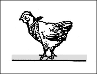 Une poule sur un mur - Chansons enfantines françaises - France - Mama Lisa's World en français: Comptines et chansons pour les enfants du monde entier  - Intro Image