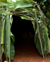 Ya Ya - Chansons enfantines centrafricaines - Centrafrique - Mama Lisa's World en français: Comptines et chansons pour les enfants du monde entier  - Intro Image