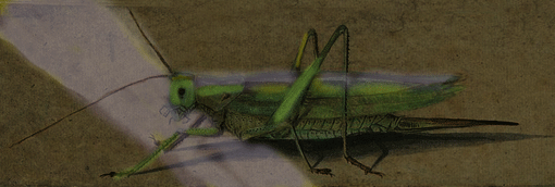 Katydids And The Moon - American Children's Songs - The USA - Mama Lisa's World: Children's Songs and Rhymes from Around the World - Intro Image Katydids And The Moon - American Children's Songs - The USA - Mama Lisa's World: Children's Songs and Rhymes from Around the World - Intro Image