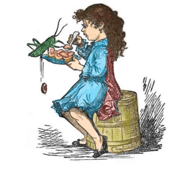 Little Miss Tucket Sat on a Bucket - American Children's Songs - The USA - Mama Lisa's World: Children's Songs and Rhymes from Around the World  - Intro Image
