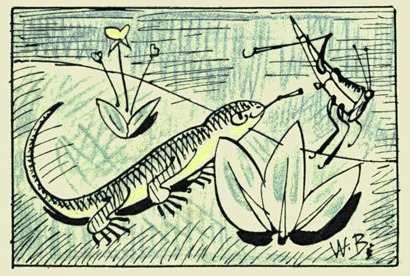 Lizard - English Children's Songs - England - Mama Lisa's World: Children's Songs and Rhymes from Around the World - Intro Image Lizard - English Children's Songs - England - Mama Lisa's World: Children's Songs and Rhymes from Around the World - Intro Image
