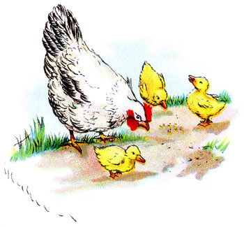 Los pollitos - Peruvian Children's Songs - Peru - Mama Lisa's World: Children's Songs and Rhymes from Around the World - Intro Image Los pollitos - Peruvian Children's Songs - Peru - Mama Lisa's World: Children's Songs and Rhymes from Around the World - Intro Image