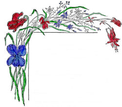 Illustration of Memorial Day Flowers