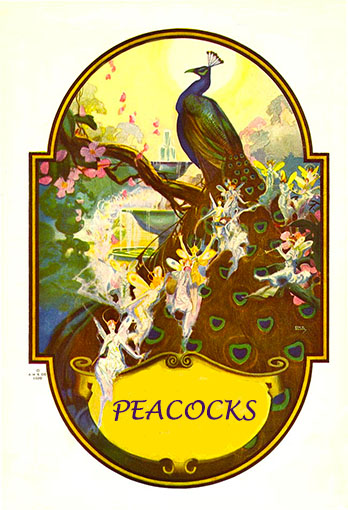 Peacocks - English Children's Songs - England - Mama Lisa's World: Children's Songs and Rhymes from Around the World  - Intro Image
