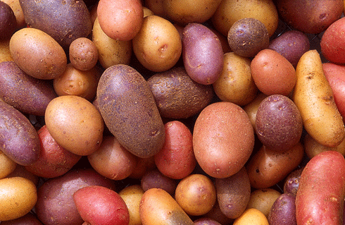 One Potato, Two Potato - Canciones infantiles estadounidenses - Estados Unidos - Mamá Lisa's World en español: Canciones infantiles del mundo entero  - Intro Image