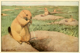 Prairie-Dog Town - American Children's Songs - The USA - Mama Lisa's World: Children's Songs and Rhymes from Around the World  - Intro Image