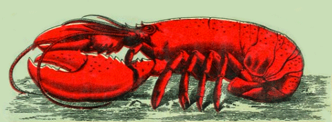 The Envious Lobster - American Children's Songs - The USA - Mama Lisa's World: Children's Songs and Rhymes from Around the World  - Intro Image