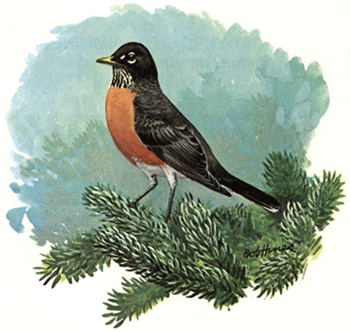 To The First Robin - American Children's Songs - The USA - Mama Lisa's World: Children's Songs and Rhymes from Around the World - Intro Image To The First Robin - American Children's Songs - The USA - Mama Lisa's World: Children's Songs and Rhymes from Around the World - Intro Image
