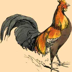 Le coq est mort