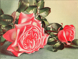 Rose, Rose, Rose, Rose - Canciones infantiles inglesas - Inglaterra - Mamá Lisa's World en español: Canciones infantiles del mundo entero - Intro Image Rose, Rose, Rose, Rose - Canciones infantiles inglesas - Inglaterra - Mamá Lisa's World en español: Canciones infantiles del mundo entero - Intro Image