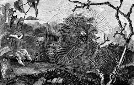 Spider's Web - Chansons enfantines  américaines - États-Unis - Mama Lisa's World en français: Comptines et chansons pour les enfants du monde entier  - Intro Image