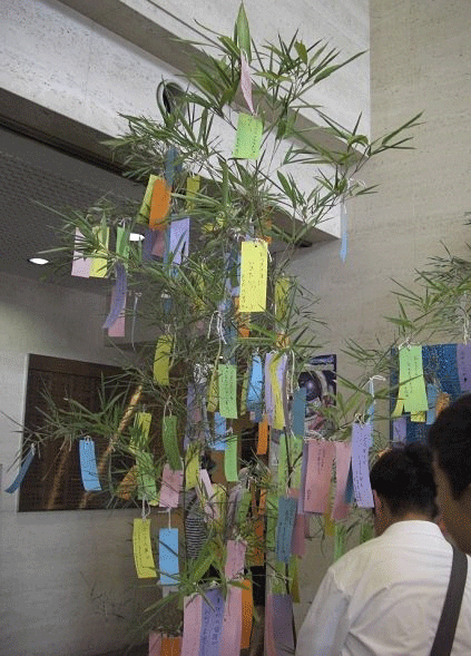 Photo of a Bambo Tree for the Star Festival Tanabata in Japan