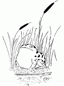 The Frog - English Children's Songs - England - Mama Lisa's World: Children's Songs and Rhymes from Around the World - Intro Image The Frog - English Children's Songs - England - Mama Lisa's World: Children's Songs and Rhymes from Around the World - Intro Image