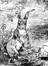 The Rabbit (By Elizabeth Madox Roberts) - American Children's Songs - The USA - Mama Lisa's World: Children's Songs and Rhymes from Around the World  - Intro Image