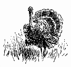 Turkey in the Straw - American Children's Songs - The USA - Mama Lisa's World: Children's Songs and Rhymes from Around the World  - Intro Image