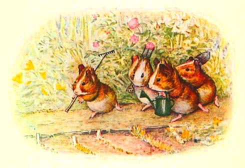 We Have a Little Garden - American Children's Songs - The USA - Mama Lisa's World: Children's Songs and Rhymes from Around the World - Intro Image We Have a Little Garden - American Children's Songs - The USA - Mama Lisa's World: Children's Songs and Rhymes from Around the World - Intro Image
