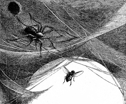 The True Story of the Web-Spinner - English Children's Songs - England - Mama Lisa's World: Children's Songs and Rhymes from Around the World - Intro Image The True Story of the Web-Spinner - English Children's Songs - England - Mama Lisa's World: Children's Songs and Rhymes from Around the World - Intro Image
