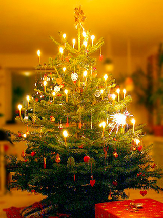 O Christmas Tree<br />(O Tannenbaum)