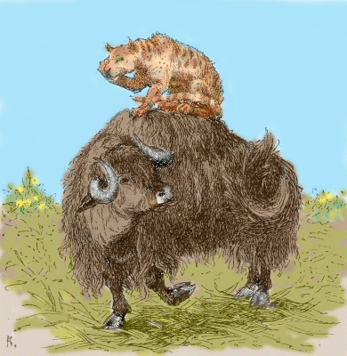 A Yak - American Children's Songs - The USA - Mama Lisa's World: Children's Songs and Rhymes from Around the World - Intro Image A Yak - American Children's Songs - The USA - Mama Lisa's World: Children's Songs and Rhymes from Around the World - Intro Image