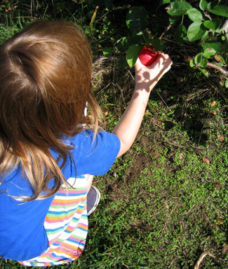 An Apple a Day Keeps the Doctor Away - Chansons enfantines anglaises - Angleterre - Mama Lisa's World en français: Comptines et chansons pour les enfants du monde entier  - Comment After Song Image