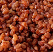 Dar arroz blanco - Canciones infantiles butanesas - Bután - Mamá Lisa's World en español: Canciones infantiles del mundo entero - Comment After Song Image Dar arroz blanco - Canciones infantiles butanesas - Bután - Mamá Lisa's World en español: Canciones infantiles del mundo entero - Comment After Song Image