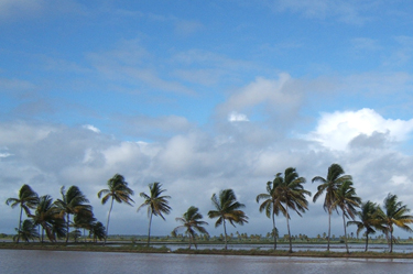 Itaname - Guyanese Children's Songs - Guyana - Mama Lisa's World: Children's Songs and Rhymes from Around the World  - Intro Image