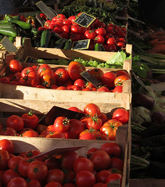 Ripe Tomatoes - Chansons enfantines bahamiennes - Bahamas - Mama Lisa's World en français: Comptines et chansons pour les enfants du monde entier  - Intro Image