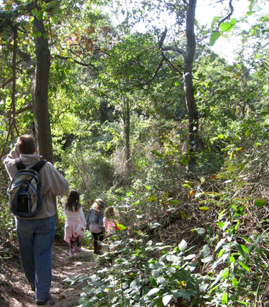 People Walking in the Woods